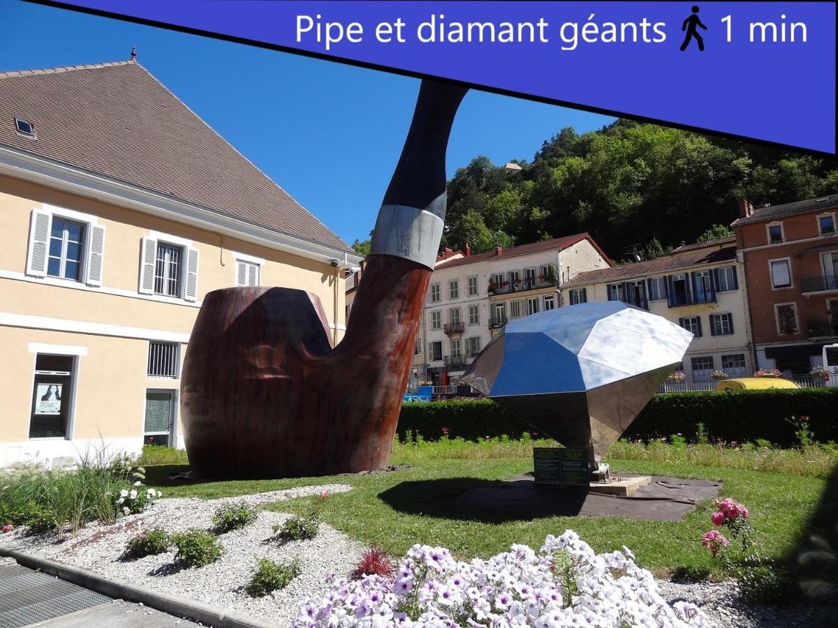 Le Repaire D'Odin - Au Coeur Du Centre Ville Saint-Claude Bagian luar foto